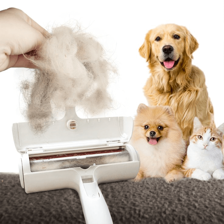 Top-selling pet essentials from Bark Bliss – featuring popular grooming tools, hair removers, car seat protectors, and bath brushes for cats and dogs.