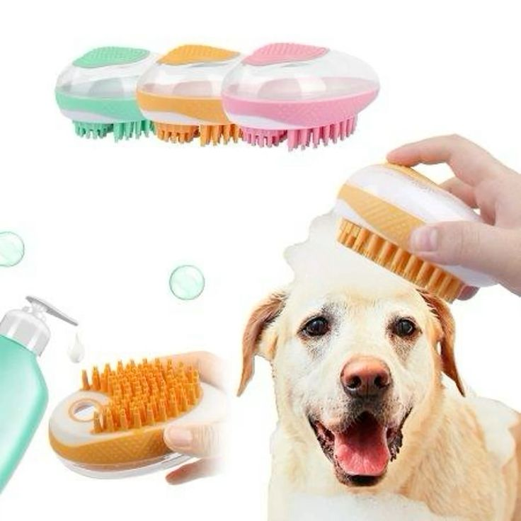 Pet Grooming Essentials