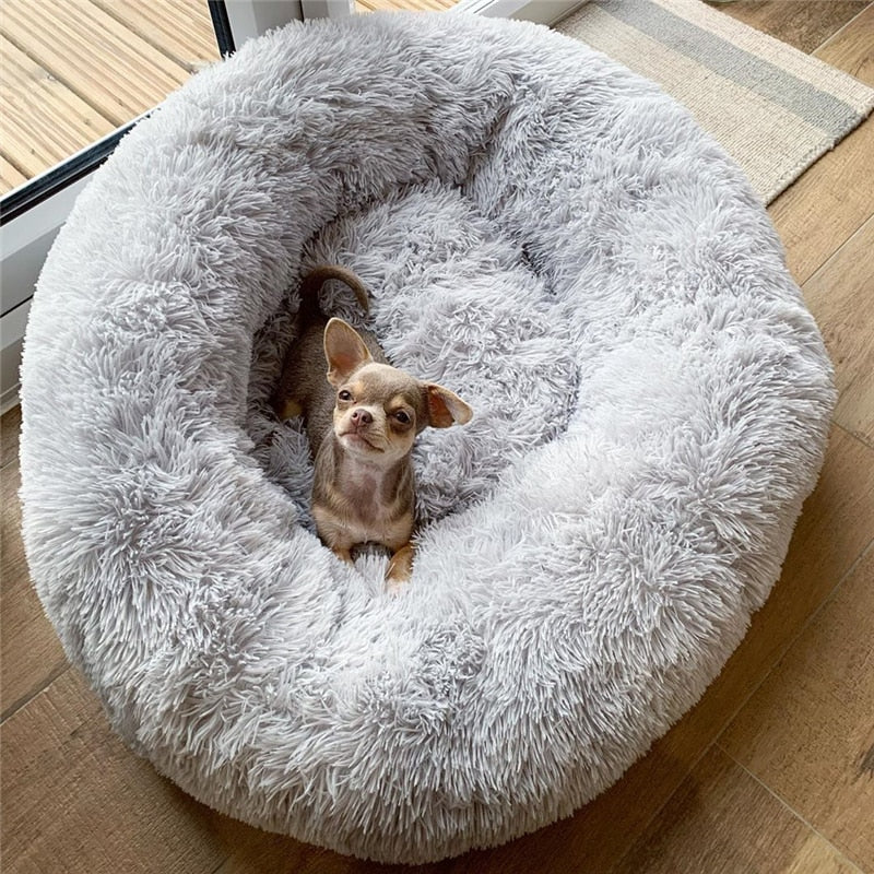 Pet Beds