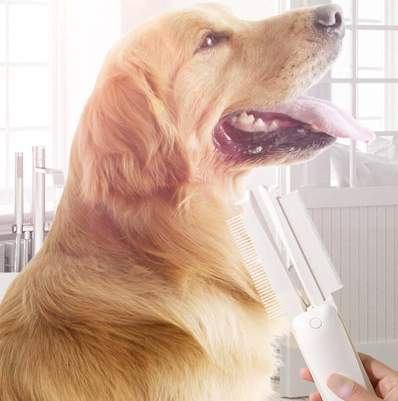 Pet groomer using Bark Bliss grooming brush on a dog to detangle and remove shedding fur.